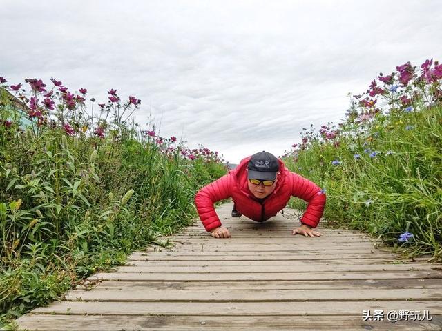 狼爪羽绒服适合什么人穿（今年秋季保暖单品的首选）(36)