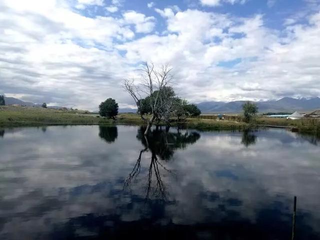 手机摄影最新热门账号（手拍世界手机摄影平台）(3)