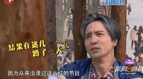 极限挑战被整得最惨的嘉宾（极限挑战哪个嘉宾被坑的最惨）(7)